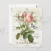 Vintage Postkarte der botanischen Rose (Vorne/Hinten)
