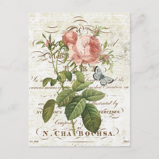 Vintage Postkarte der botanischen Rose (Vorderseite)