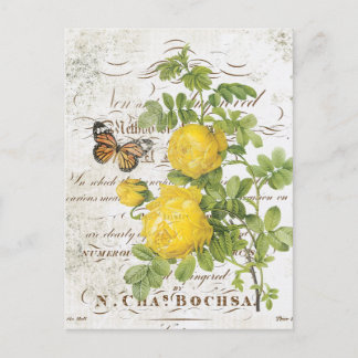 Vintage Postkarte der botanischen Rose