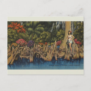 Vintage-Postkarte der Florida Cypress Gardens Postkarte