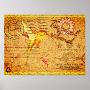 Vintage Postkarte der Tropeninsel Kolibris Poster