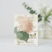 Vintage Postkarte des botanischen Hydrangeas (Stehend Vorderseite)