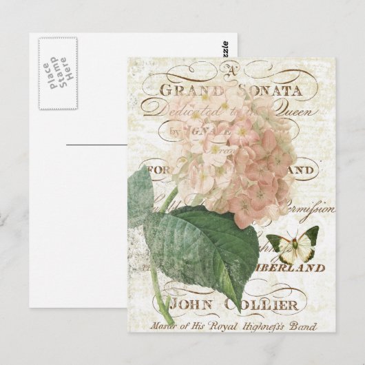 Vintage Postkarte des botanischen Hydrangeas (Vorne/Hinten)