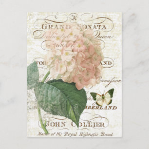 Vintage Postkarte des botanischen Hydrangeas