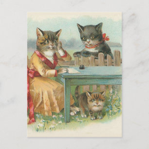 Vintage Postkarte "Die Katze"