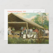 Vintage Postkarte Florida, "Packorangen" (Vorne/Hinten)