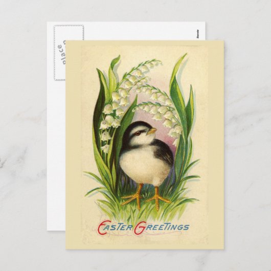 Vintage Postkarte für den kleinen Osterbraten (Vorne/Hinten)