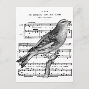 Vintage Postkarte für die französische Band Bird S