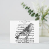 Vintage Postkarte für die französische Band Bird S (Stehend Vorderseite)