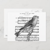 Vintage Postkarte für die französische Band Bird S (Vorne/Hinten)