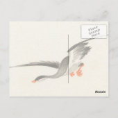 Vintage Postkarte für japanische Enten (Rückseite)