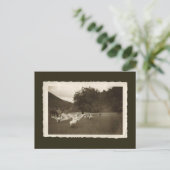 Vintage Postkarte - Gänse und Pferde (Stehend Vorderseite)