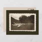 Vintage Postkarte - Gänse und Pferde (Vorne/Hinten)
