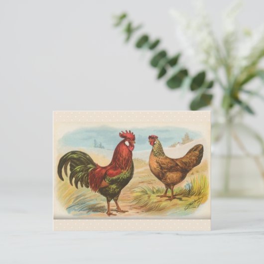 Vintage Postkarte "Leghorn Chickens" (Stehend Vorderseite)