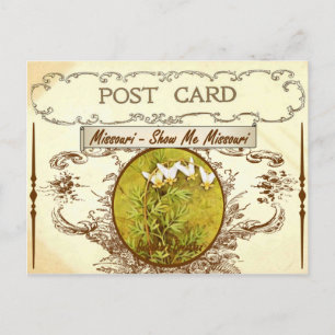 Vintage-Postkarte mit der Staatsblume von Missouri Postkarte