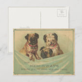 Vintage Postkarte mit Niedlichen Schrotthunden (Vorne/Hinten)