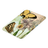 Vintage Postkarte mit Schmetterlingen und Blume Magnet (Linke Seite)