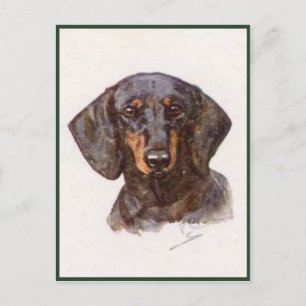 Vintage-Postkarte mit süßem Dachshund Postkarte