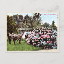 Vintage Postkarte San Diego, Viktorianische Ära