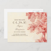 Vintage Postkarten aus alten Bäumen (Vorne/Hinten)