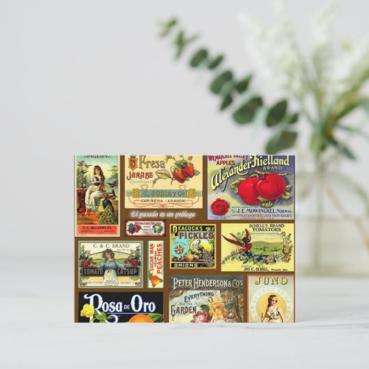 Vintage Postkarten mit Fruchtkennzeichnung (Stehend Vorderseite)