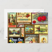 Vintage Postkarten mit Fruchtkennzeichnung (Vorne/Hinten)