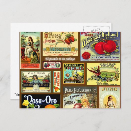 Vintage Postkarten mit Fruchtkennzeichnung (Vorne/Hinten)