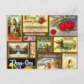 Vintage Postkarten mit Fruchtkennzeichnung (Vorderseite)