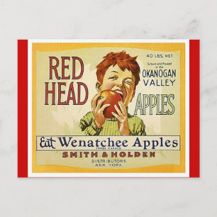 Vintage Postkarten mit roten Washington-Äpfeln der