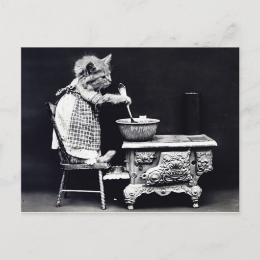 Vintage Postkartenkatze im Kleid Kochen Postkarte (Vorderseite)