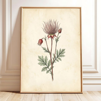 Vintage-Prärie-Botanik-Kunstprint Poster