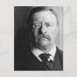 Vintage Präsident Theodore Roosevelt Postkarte