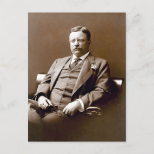 Vintage Präsident Theodore Teddy Roosevelt Postkarte