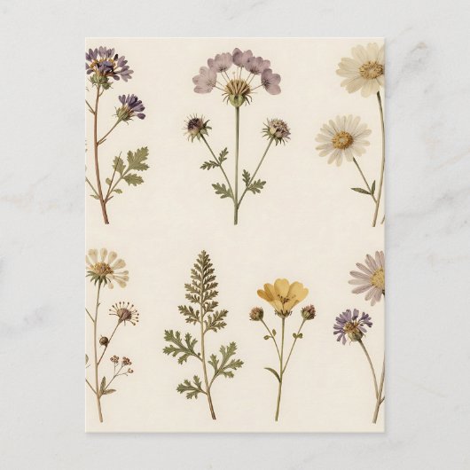 Vintage Pressed Wildflower Botanical Pattern Postkarte (Vorderseite)