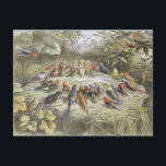 Vintage Probe in Fairyland Postkarte<br><div class="desc">Diese Vintage Illustration von Richard Doyle heißt Probe in Fairyland und wurde 1870 veröffentlicht.</div>