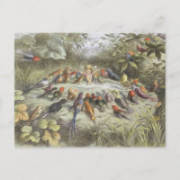 Vintage Probe in Fairyland