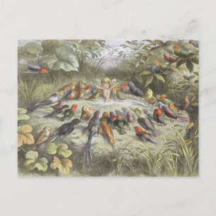 Vintage Probe in Fairyland Postkarte