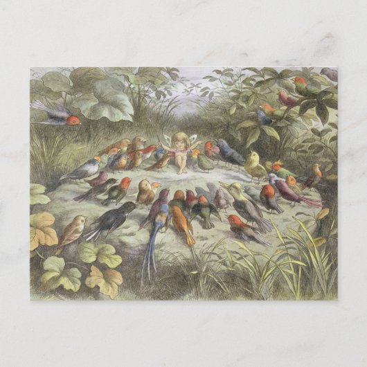 Vintage Probe in Fairyland Postkarte (Vorderseite)