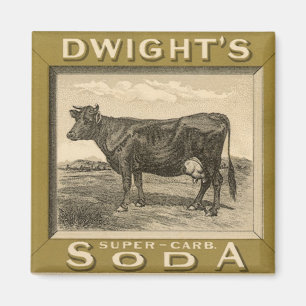 Vintage-Produktetikett, Dwight's Bicarbonated Soda Magnet