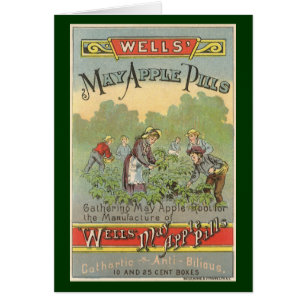 Vintage-Produktlabel-Kunst, Wells May Apple Pills
