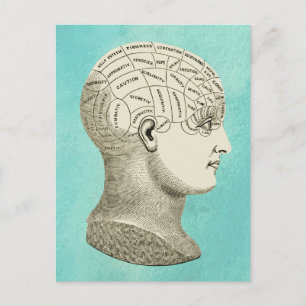 Vintage-Profilbild eines Phrenologie-Kopfes Postkarte