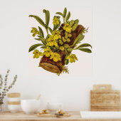 Vintage Promenämie Stapelioides Orchid Blume Poster (Küche)