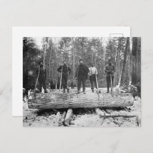 Vintage Protokolliergeräte Postkarte (Vorne/Hinten)