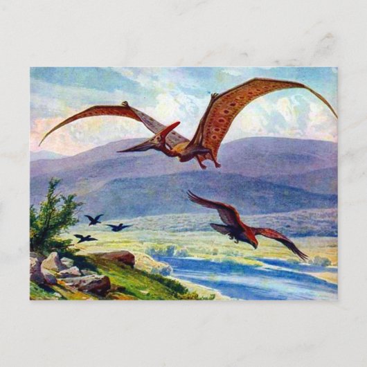 Vintage Pteranodon-Malerei von Heinrich Harder Postkarte (Vorderseite)
