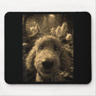 Vintage-Pudel-Selfie-Geister-verlassener Wald Mousepad
