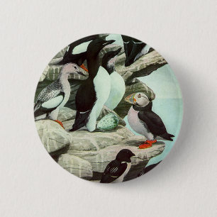 Vintage Puffins und Wasservögel von Louis Fuertes Button