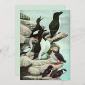 Vintage Puffins und Wasservögel von Louis Futes (Vorne/Hinten)