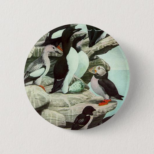 Vintage Puffins und Wasservögel von Louis Futes Button (Vorderseite)
