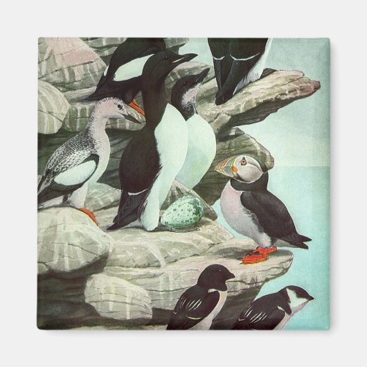 Vintage Puffins und Wasservögel von Louis Futes Magnet (Vorne)