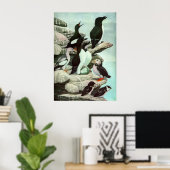 Vintage Puffins und Wasservögel von Louis Futes Poster (Heimbüro)